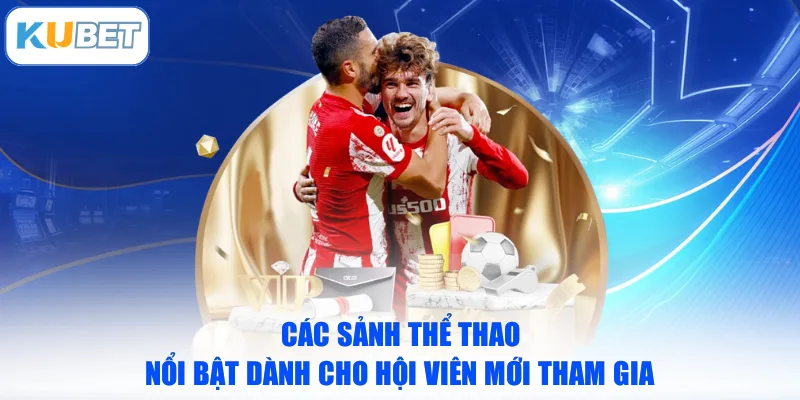 Các sảnh thể thao nổi bật dành cho hội viên mới tham gia