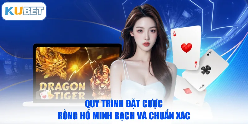 Quy trình đặt cược Rồng Hổ minh bạch và chuẩn xác