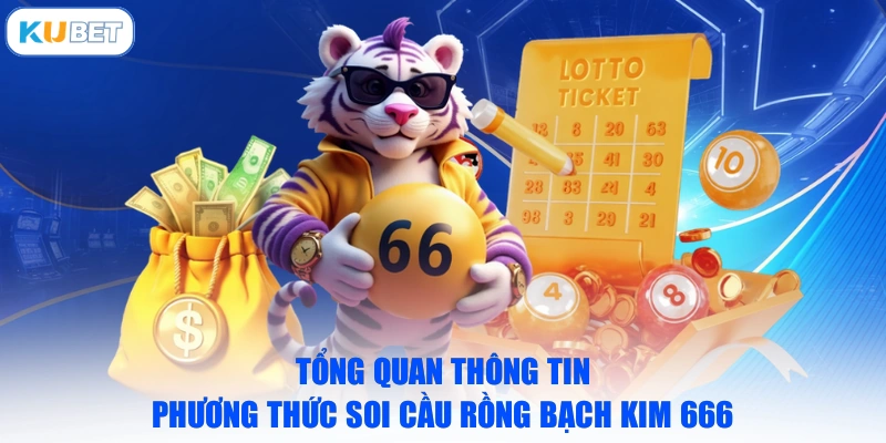 Tổng quan thông tin phương thức soi cầu Rồng Bạch Kim 666